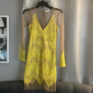 Yellow Nude Scalloped Eyelash Lace Long Sleeved V Neck Bodycon Night Out Dress
